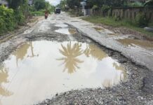 Rusak Akibat Truk Muatan Sawit, Warga Minta Jalan Alue Ie Mirah Diaspal