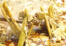 Resep Kuliner Kuah Beulangong Dari Batang Tebu