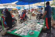 Harga Ikan Di Kota Langsa Melonjak Akibat Cuaca Buruk