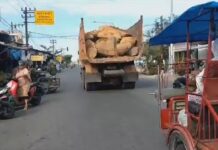 Lintasi Jalur Kota, Truk Muatan Batu Gajah Ancam Keselamatan Warga