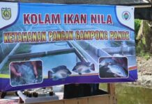 Warga Gampong Pande Sulap Lahan Kosong Sebagai Lahan Ketahanan Pangan