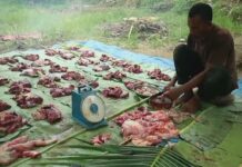 65 Paket Qurban Untuk Teungku Dayah