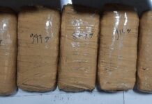 Direktorat Reserse Narkoba Polda Papua Berhasil Amankan WNA Bawa Ganja 9 Kilogram di Kota Jayapura
