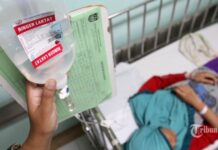 PMI Pastikan Stok Trombosit Pasien DBD Aman