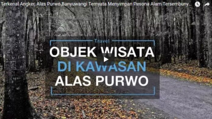 terkenal-angker-alas-purwo-banyuwangi-ternyata-menyimpan-pesona-alam-tersembunyi-ke-sini-yuk_20180214_175312 (1)