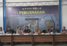 Bea Cukai Langsa Musnahkan 6 Ekor Kambing Dan 88 Tanaman Hasil Penangkapan Ilegal
