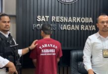 Menyamar Sebagai Pembeli, Polisi Berhasil Meringkus Bandar Narkoba Di Nagan Raya