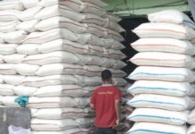 Bapanas: Cadangan Beras Harus Diperkuat Antisipasi El Nino