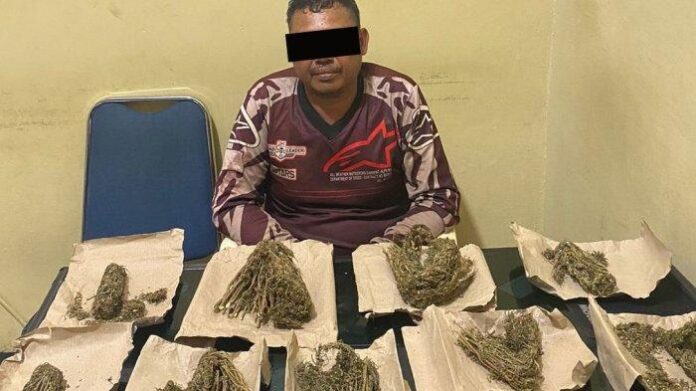 tersangka-pengedar-narkotika-jenis-ganja-saat-diamankan-di-polres-aceh-barat