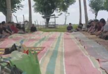 Melihat Petani Aceh Turun Ke Sawah Dan Tradisi Khanduri Blang Di Aceh Timur