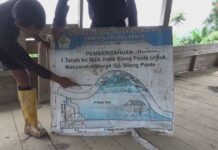 10 Tahun Konflik Gajah Dan Manusia Di Aceh Utara Akibat RTRW Tidak Optimal
