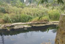 Keluarkan Bau Menyengat, Sungai Cibeet Karawang Menghitam