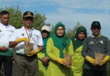Ikut Lestarikan Lingkungan, Hakim Di Banda Aceh Tanam Mangrove