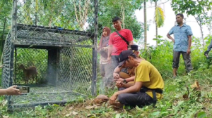 Warga Aceh Timur