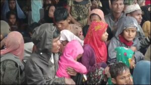 Rohingya
