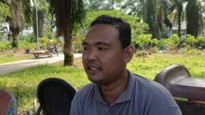 Harga Sapi