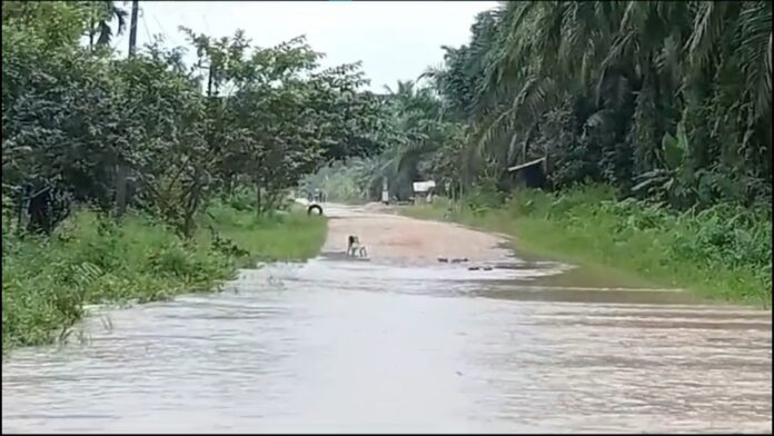 Krueng Jambo Aye
