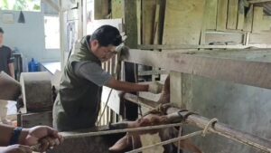 Kota Langsa