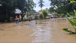 Kecamatan Indra Makmu