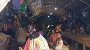 Rohingya