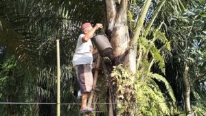 Lek Ngadiman