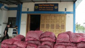Amankan 45 Ton Bawang