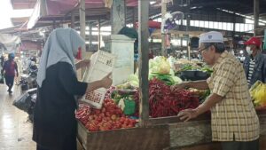 Kota Langsa