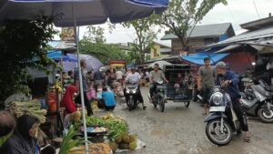 Kota Langsa