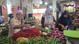 Kota Langsa