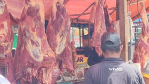 Daging Sapi