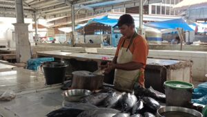 Harga Ikan