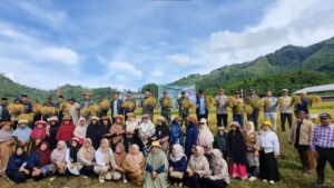 Panen Raya Padi