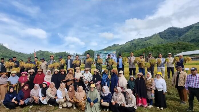 Panen Raya Padi