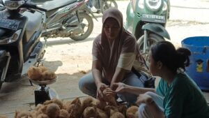 Melambung Tinggi