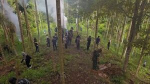 Lahan Ganja