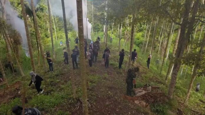 Lahan Ganja
