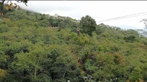 Wahana Flying Fox
