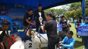 Kambing Dan Domba