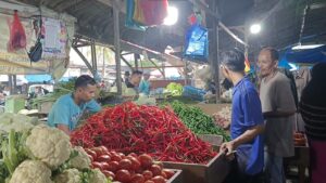 Harga Cabai