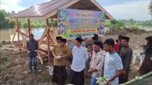 Tanam Jagung