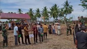 Tanam Jagung