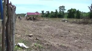 Tanam Jagung