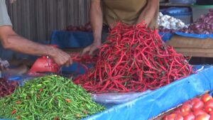 Harga Bahan Pokok