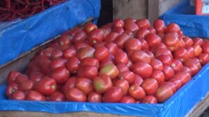 Harga Bahan Pokok