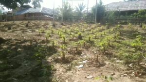 Bhabinkamtibmas