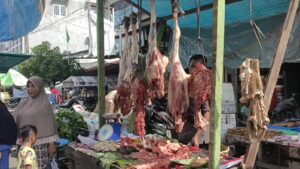 Kota Langsa