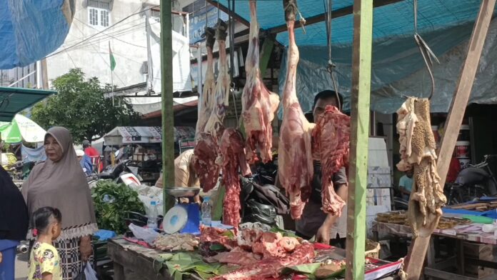 Kota Langsa