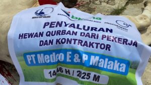 PT Medco