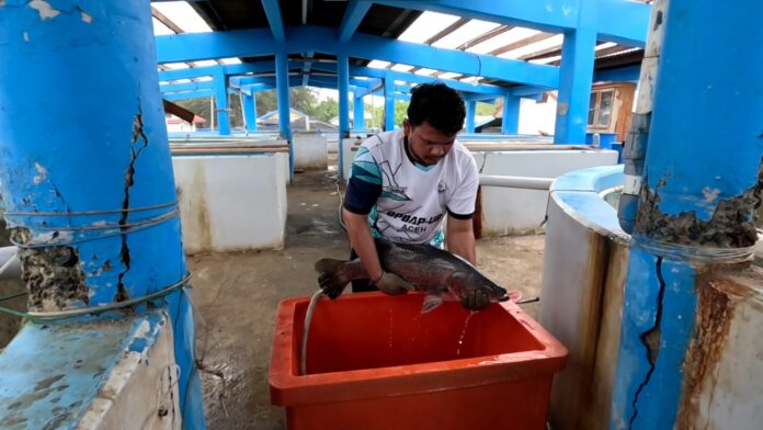 BPBAP Ujong Batee