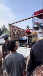 TNI
